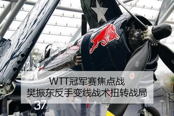WTT冠军赛焦点战 樊振东反手变线战术扭转战局